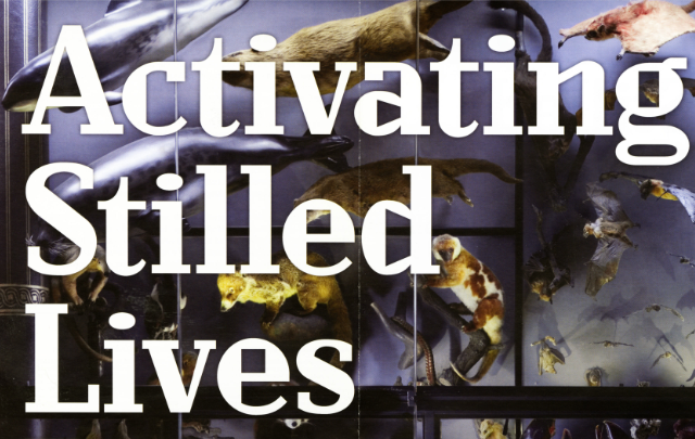 Activating Stilled Lifes. The Aesthetics and Politics of Specimens on Display
