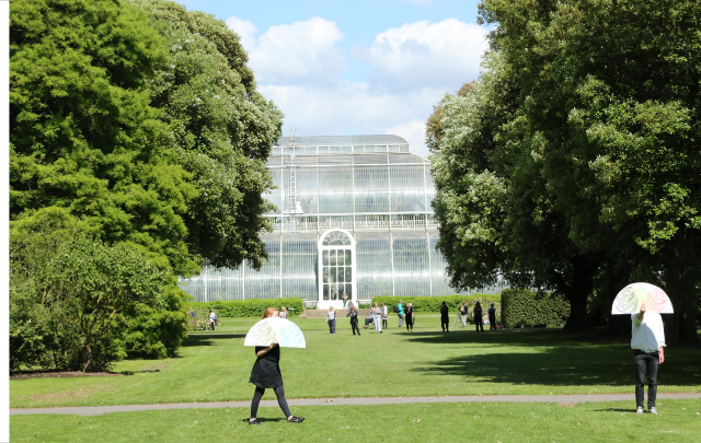 Botanical Drift: Walking Kew Gardens & Workshop in Economic Botany